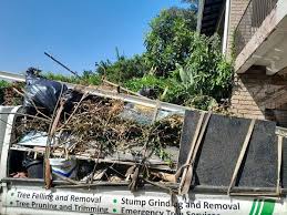 Professional Junk Removal  in Apalachin, NY